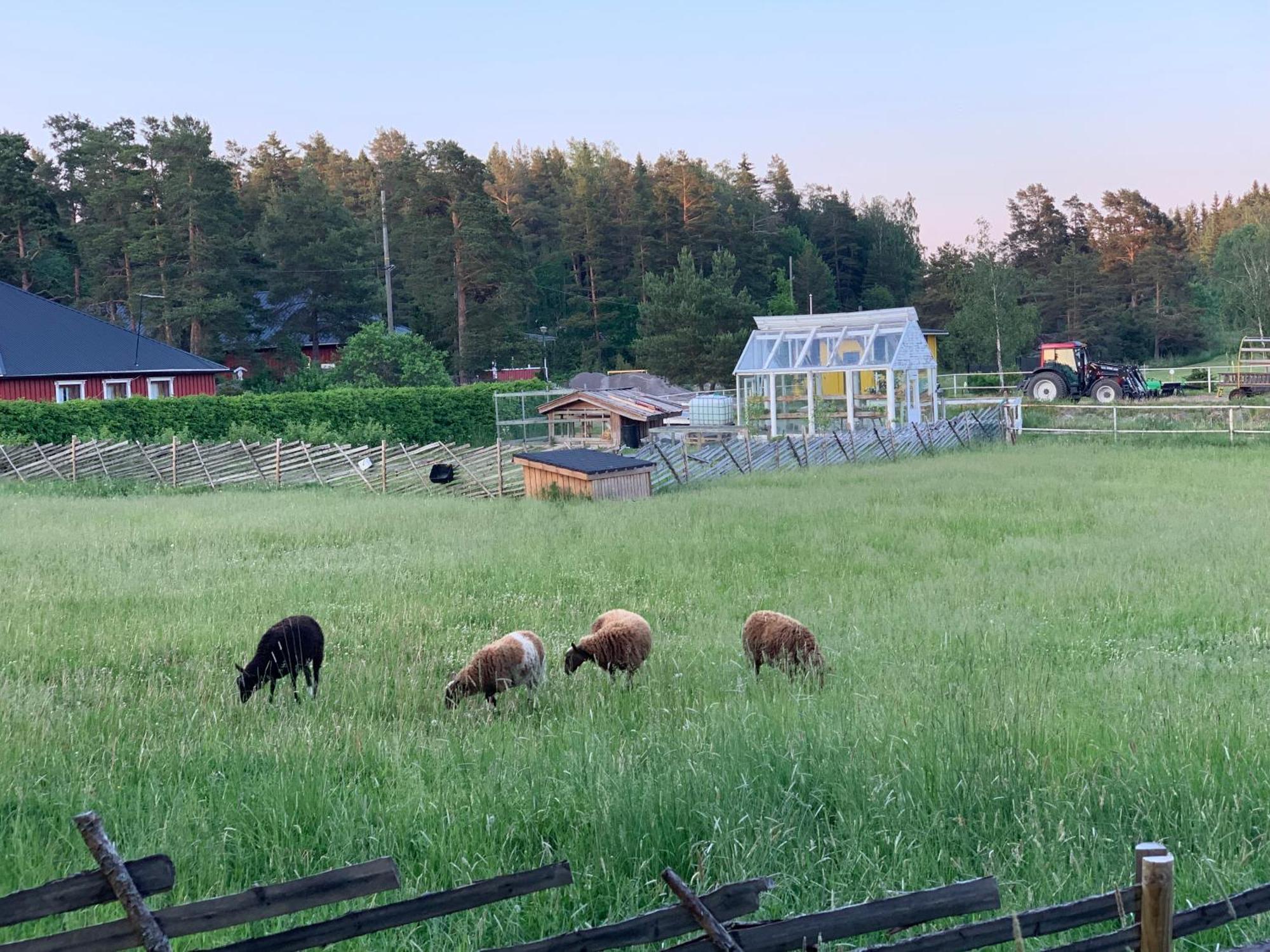 Villa Lomahyppaeys Naantali Esterno foto
