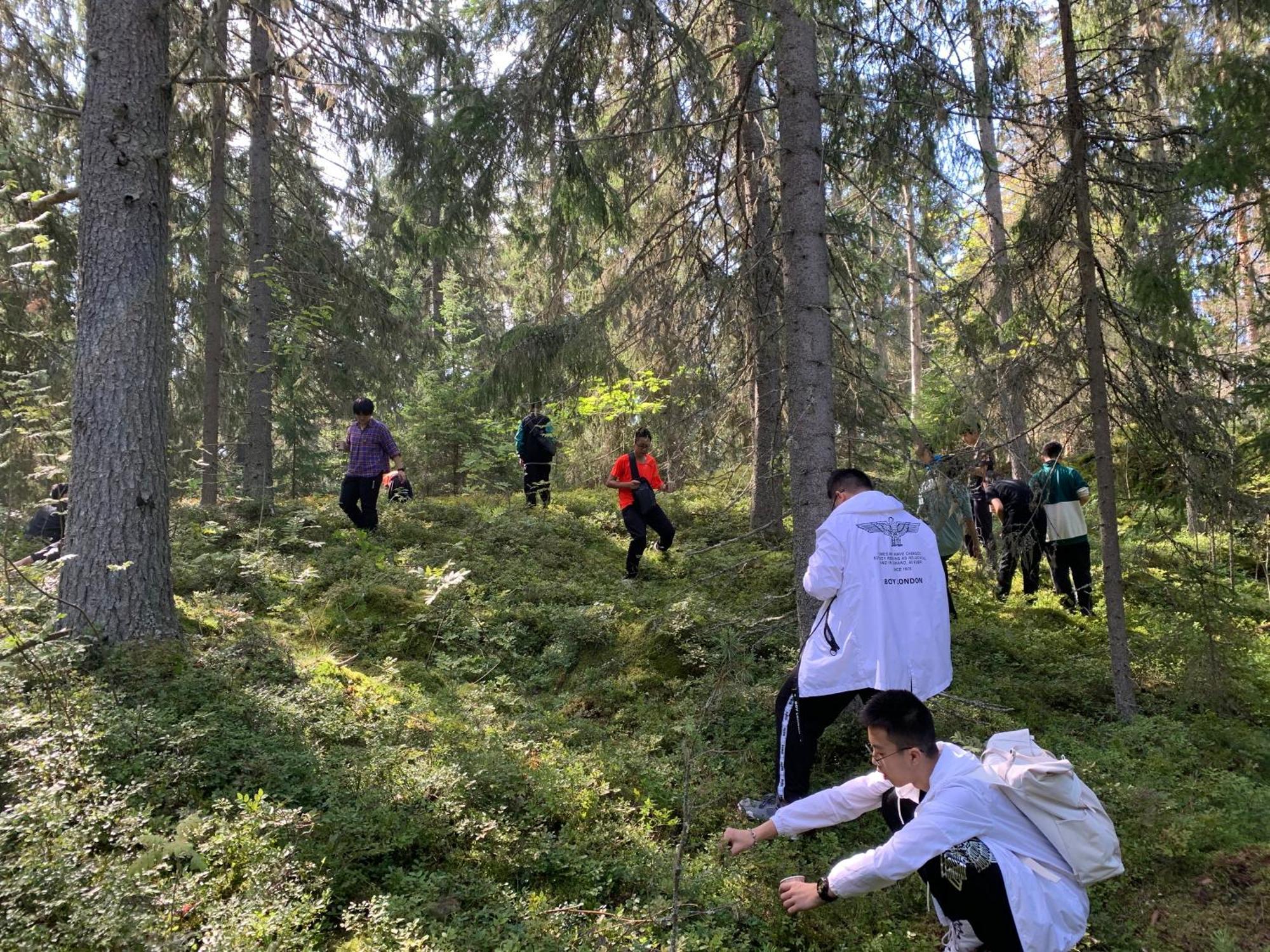 Villa Lomahyppaeys Naantali Esterno foto