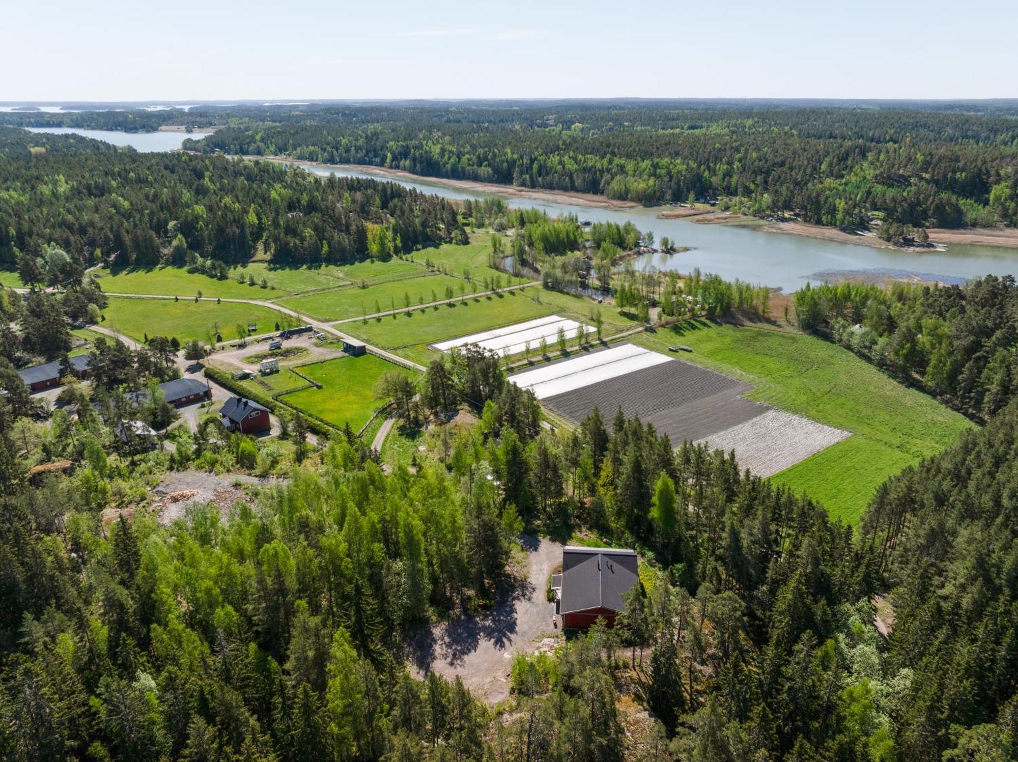Villa Lomahyppaeys Naantali Esterno foto